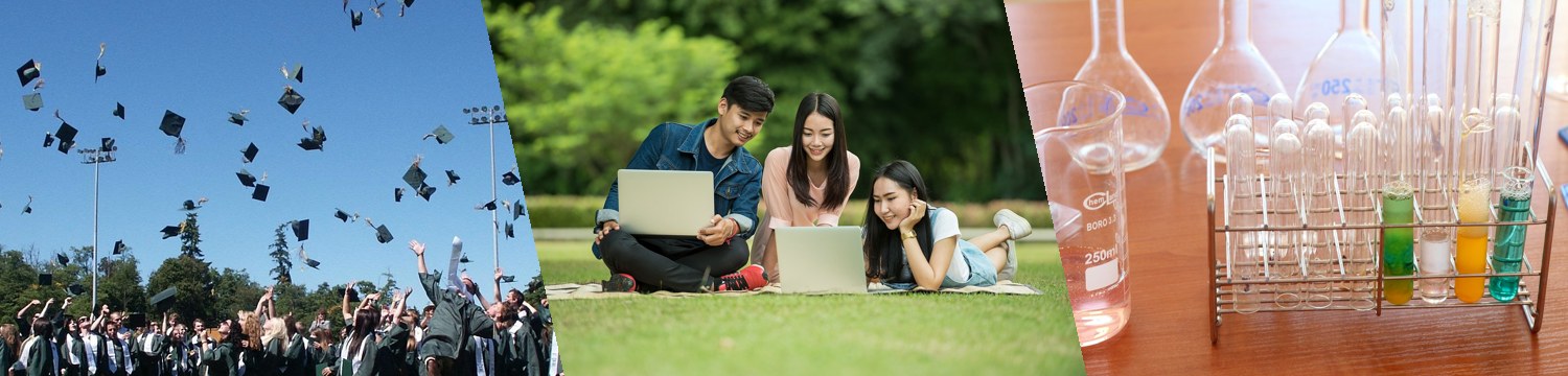 教学成果